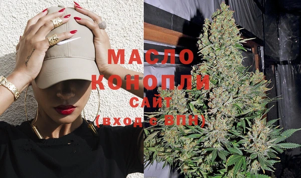 скорость Ельня