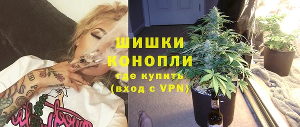 бошки Елабуга
