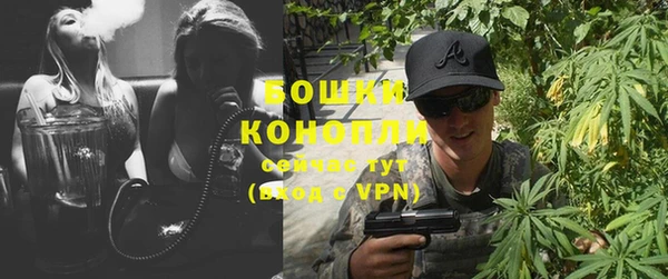 скорость Ельня