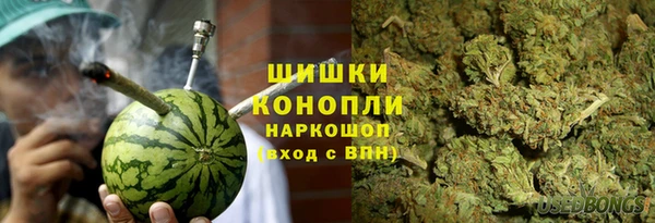 скорость Ельня