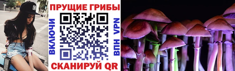 дарк нет как зайти  Нефтекамск  Галлюциногенные грибы Psilocybine cubensis 